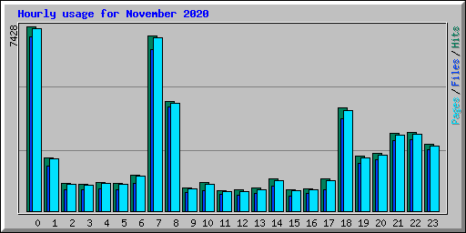 Hourly usage for November 2020