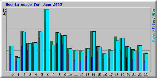 Hourly usage for June 2025