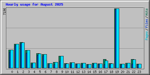 Hourly usage for August 2025