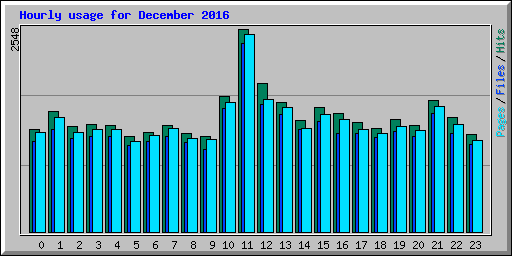 Hourly usage for December 2016