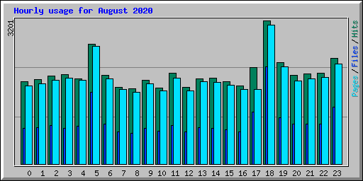 Hourly usage for August 2020