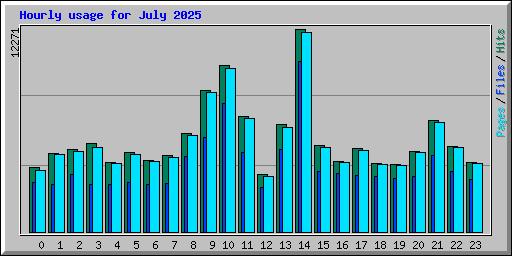 Hourly usage for July 2025